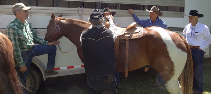 Ein Sattler der berühmten King’s Saddlery hatte eigene Pferde und Sättel zur Probemessung mitgebracht. Vor dem Trailer der King‘s Saddlery im XXL-Format philosophierten die Fachleute über Sättel und Passformen.